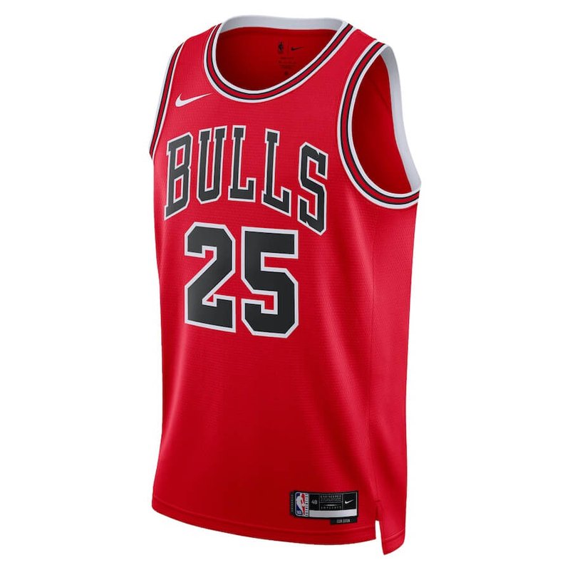 Dalen Terry Chicago Bulls Unisex 2022  NBA Jersey - Icon Edition - Red